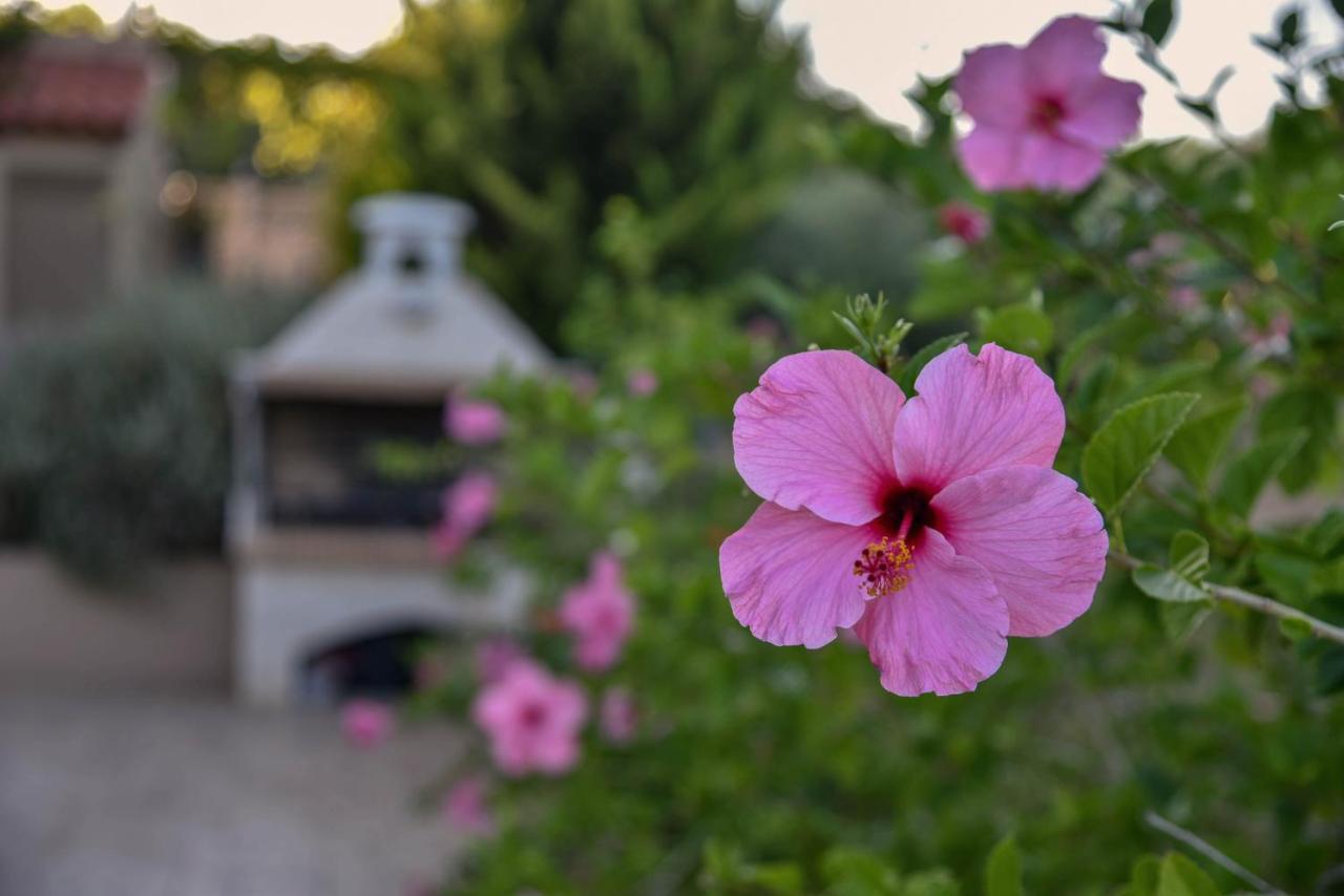 Villabayviewcrete Hersonissos  Luaran gambar